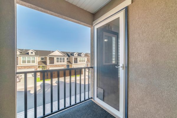 Storm Door Painting